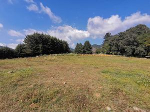 TERRENO PLANO CON VISTA AL NEVADO IDEAL PARA NEGOCIO DE GLAMPINGS