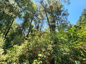 TERRENO EN VENTA, CERRO GORDO.