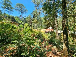 TERRENO EN VENTA, CERRO GORDO.