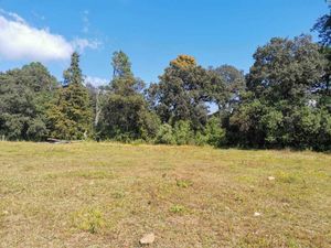 TERRENO PLANO CON VISTA AL NEVADO IDEAL PARA NEGOCIO DE GLAMPINGS