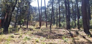 TERRENOS EN AVÁNDARO:  BOSQUE Y SEGURIDAD, AVÁNDARO, VALLE DE BRAVO