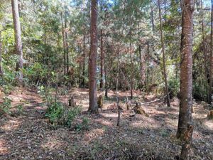 TERRENO EN VENTA CERRO GORDO, VALLE DE BRAVO