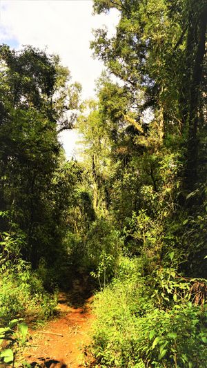 TERRENO EN CUADRILLA DE DOLORES