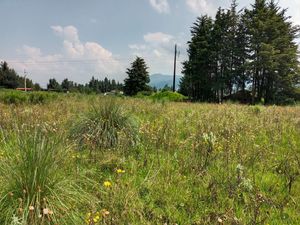 TERRENO EN VENTA, EL FRESNO, VALLE DE BRAVO