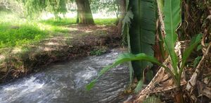 TERRENO EN PIPIOLTEPEC CON RÍO Y CANAL DE AGUA