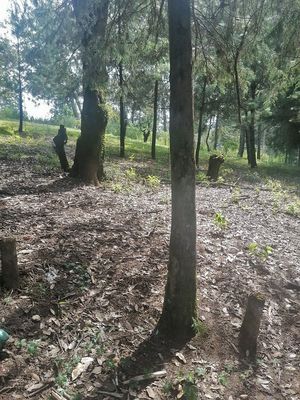 TERRENO EN ACATITLÁN, VALLE DE BRAVO