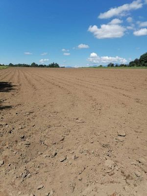 TERRENO DE UN HECTÁREA EN EL CASTELLANO