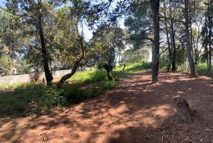 TERRENO EN ACATITLÁN, VALLE DE BRAVO