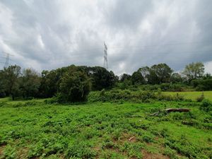 TERRENO EN ACATITLÁN PLANO Y EN EL BOSQUE