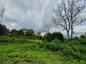 TERRENO EN ACATITLÁN PLANO Y EN EL BOSQUE