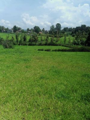 VENTA TERRENO EN ACATITLÁN.