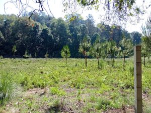 TERRENO  EN VENTA, EL TEMPORAL, VALLE DE BRAVO