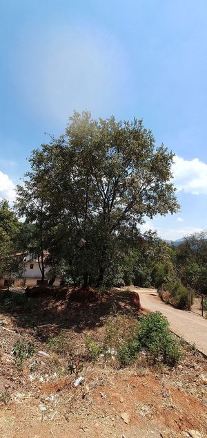 TERRENO EN RINCÓN DE ESTRADAS BIEN UBICADO