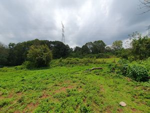 TERRENO EN ACATITLÁN PLANO Y EN EL BOSQUE