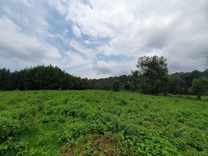 TERRENO EN ACATITLÁN PLANO Y EN EL BOSQUE