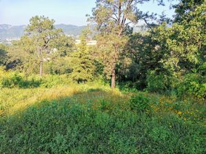 TERRENO EN VENTA A PIE DE CARRETERA EN PIPIOLTEPEC