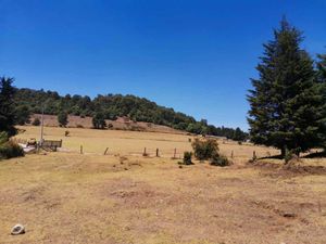 TERRENO EN VENTA CERRO GORDO, VALLE DE BRAVO