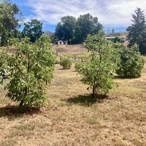 TERRENO EN VENTA, SAN JUAN ATEZCAPAN.