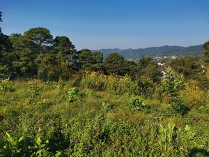 TERRENO EN VENTA A PIE DE CARRETERA EN PIPIOLTEPEC