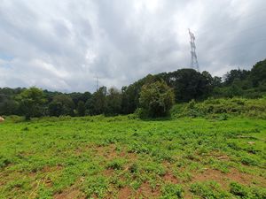 TERRENO EN ACATITLÁN PLANO Y EN EL BOSQUE