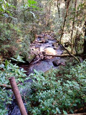 TERRENO CON RÍO A 20 MIN DE AVÁNDARO