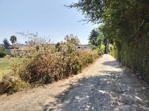 TERRENO EN VENTA, CERRO GORDO.