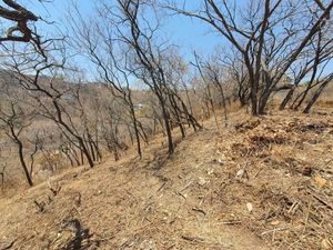 TERRENO EN VENTA, EL SANTUARIO.