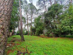 TERRENO A LA VUELTA DEL CLUB DE GOLF AVÁNDARO