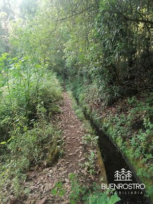 VENTA TERRENO 3 HECTAREAS EN SAN BARTOLO