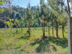 TERRENO  EN VENTA, EL TEMPORAL, VALLE DE BRAVO