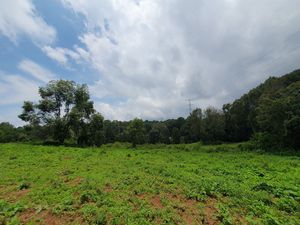 TERRENO EN ACATITLÁN PLANO Y EN EL BOSQUE