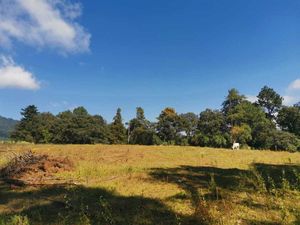 TERRENO PLANO CON VISTA AL NEVADO IDEAL PARA NEGOCIO DE GLAMPINGS