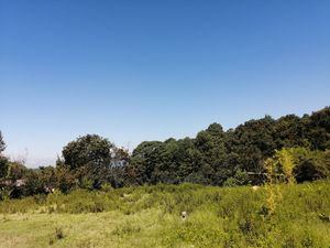 TERRENO EN EL CASTELLANO, ACATITLÁN, VALLE DE BRAVO.