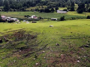 TERRENO EN VENTA EN LOS SAUCOS