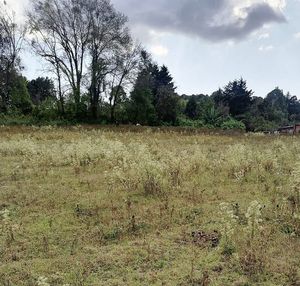 TERRENO EN CUADRILLA DE DOLORES