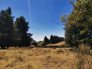 TERRENO EN VENTA CERRO GORDO, VALLE DE BRAVO