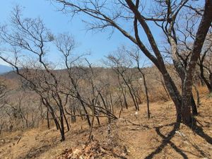 TERRENO EN VENTA, EL SANTUARIO.