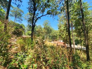 TERRENO EN VENTA, CERRO GORDO.