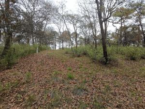 Terreno en Venta en Loma de Trojes Villa del Carbón