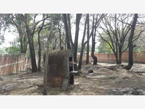 Casa en Venta en San Martin Cachihuapan Villa del Carbón