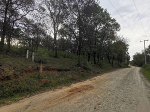 Terreno en Venta en Loma de Trojes Villa del Carbón