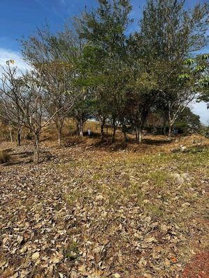 Terreno en Altozano