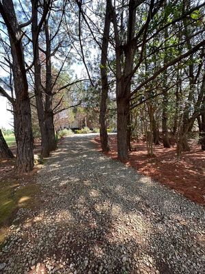 Cabaña en el Remanso-Tapalpa