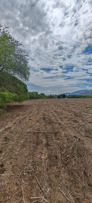 Terreno para Patio en el Colomo