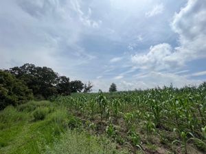 Terreno en Venta en San Luis Anáhuac (Toriles) Villa del Carbón