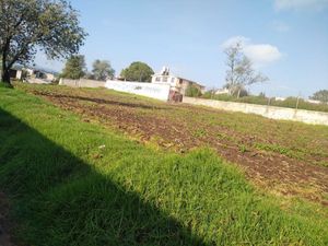 Terreno en Venta en La Bellota Villa del Carbón