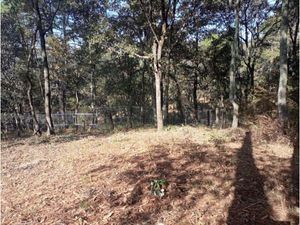 Terreno en Venta en San Martin Cachihuapan Villa del Carbón