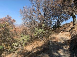 Terreno en Venta en Las Moras Villa del Carbón