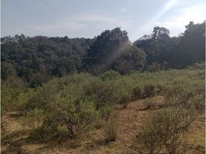 Terreno en Venta en Loma de Trojes Villa del Carbón