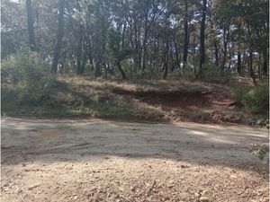 Terreno en Venta en Loma de Trojes Villa del Carbón